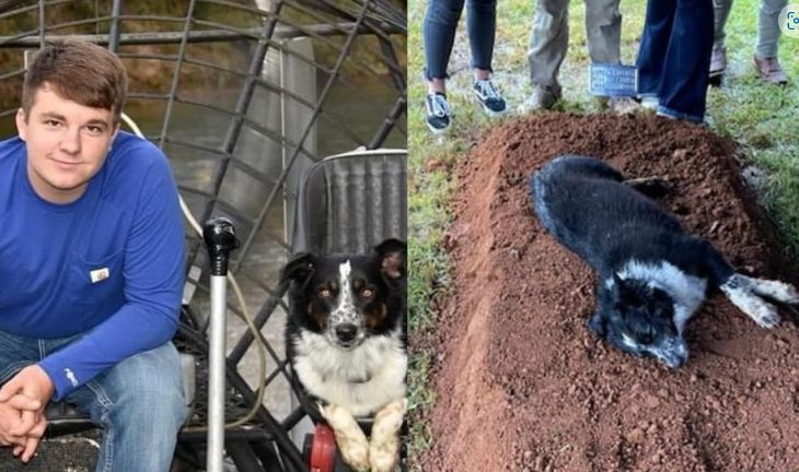 Il cane si rifiuta di lasciare la tomba del suo giovane padrone