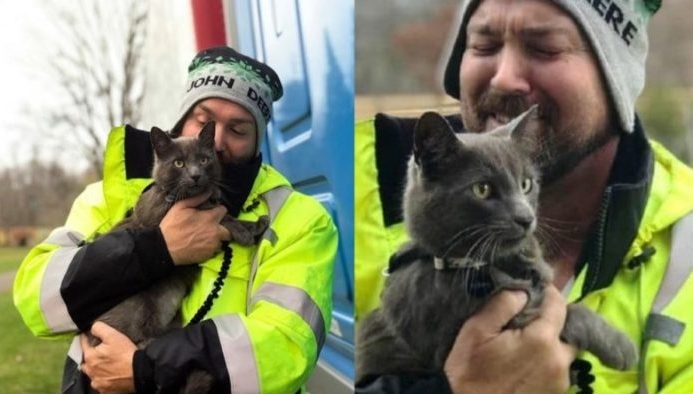 Il camionista salva il gatto ma purtroppo lo perde di nuovo